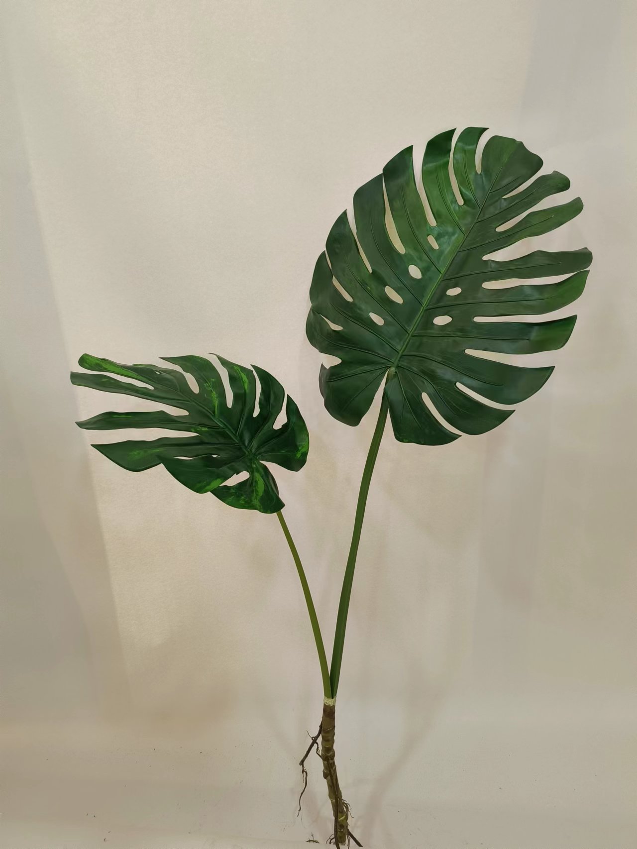 XJY231009