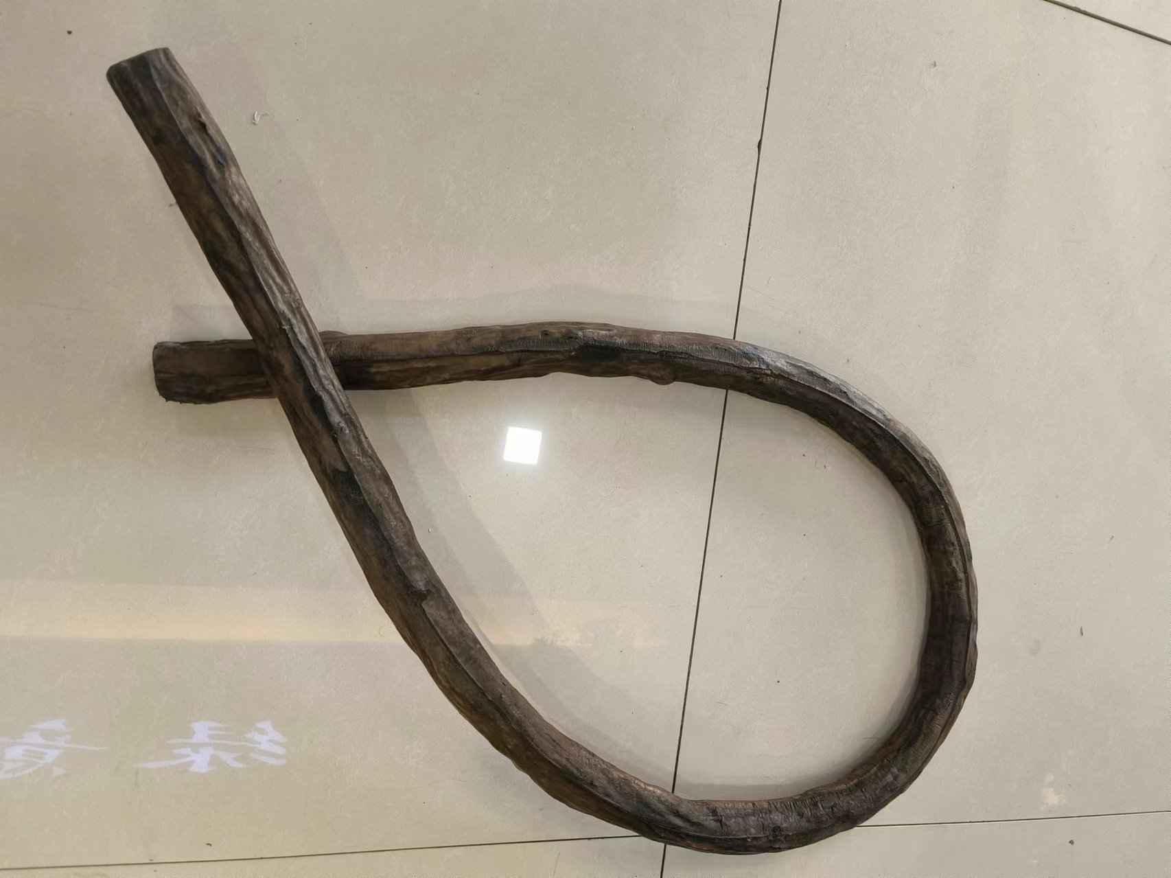76" Snake Bean Vine Hollow Tube