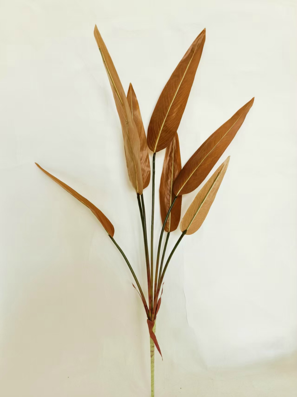 36" 7-Fork Thalia Dealbata Cabang Besar Bundel Real-Touch Warna Kopi Muda