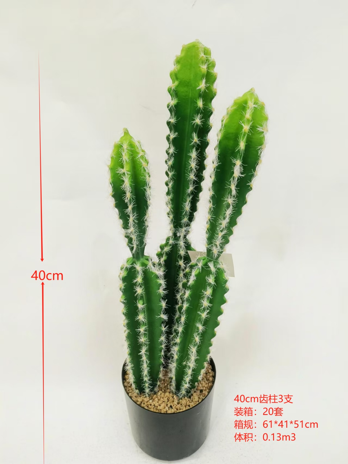 XJXR20241104-71