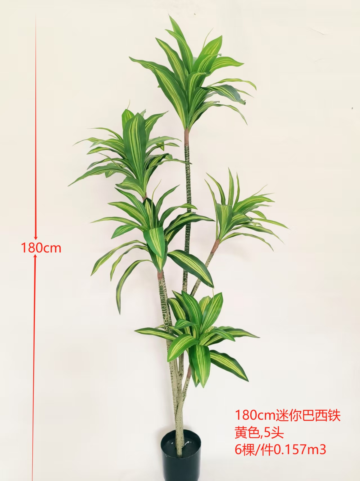 XJTL25061-HS180