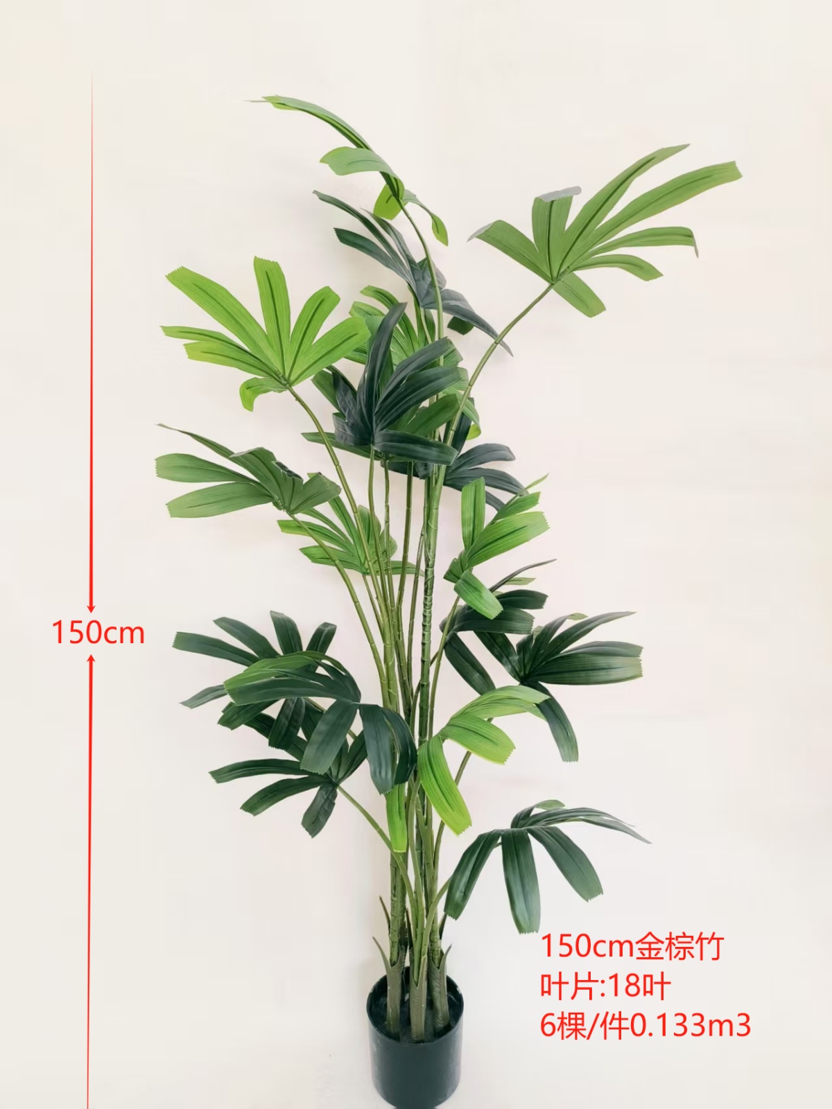 150cm金棕竹18叶