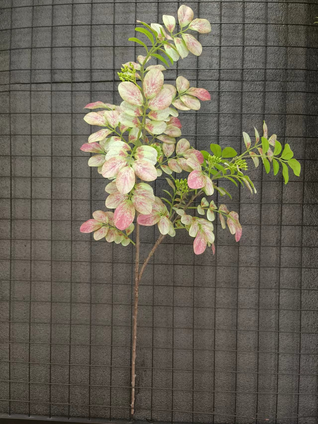 XJHJ10011-3