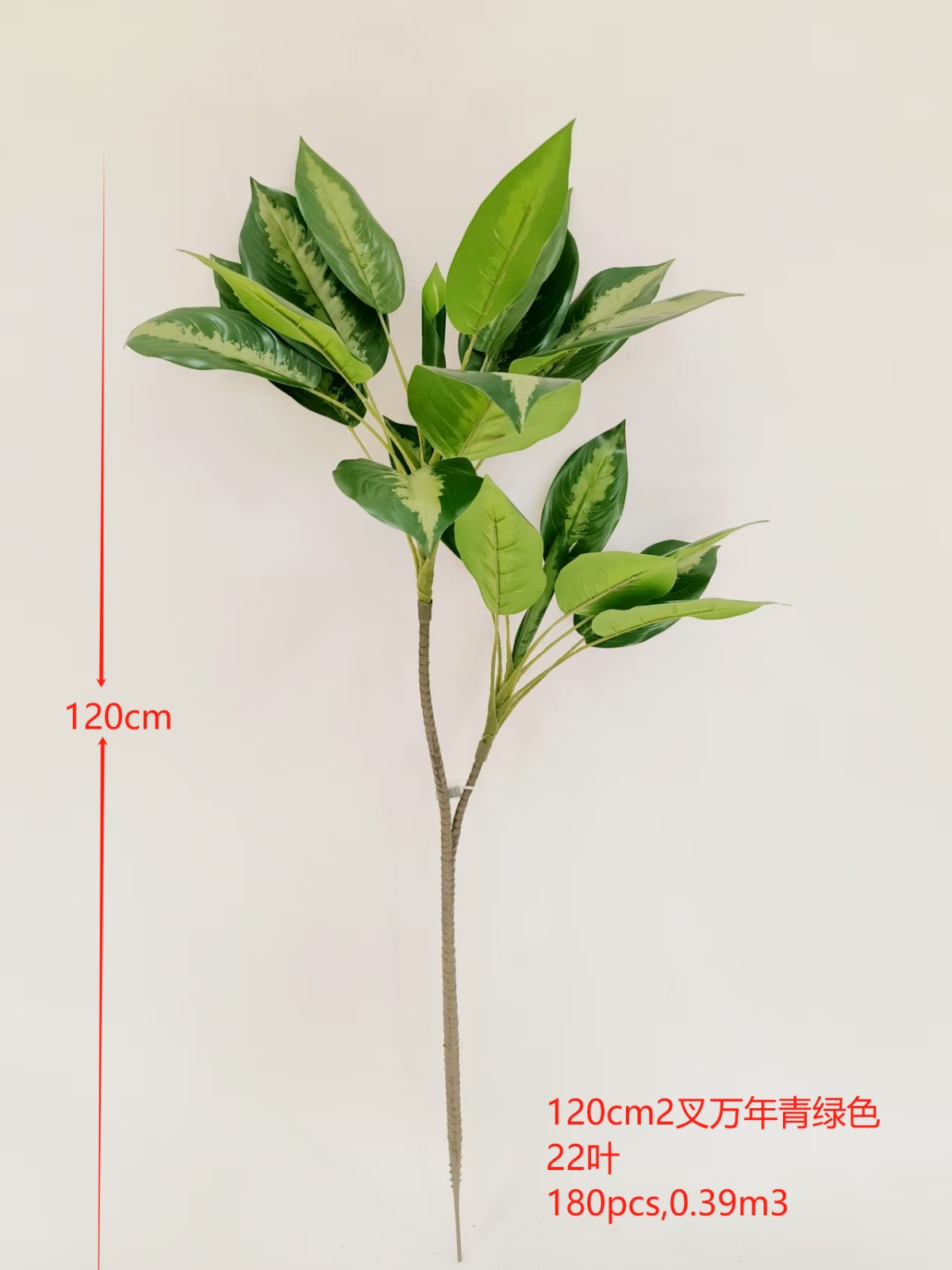 XJQH20250317-1