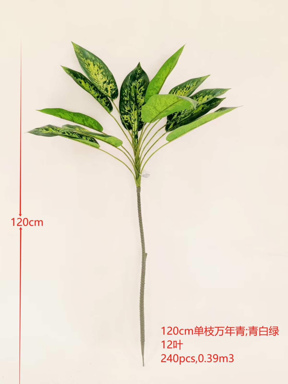 XJQH20250316-3
