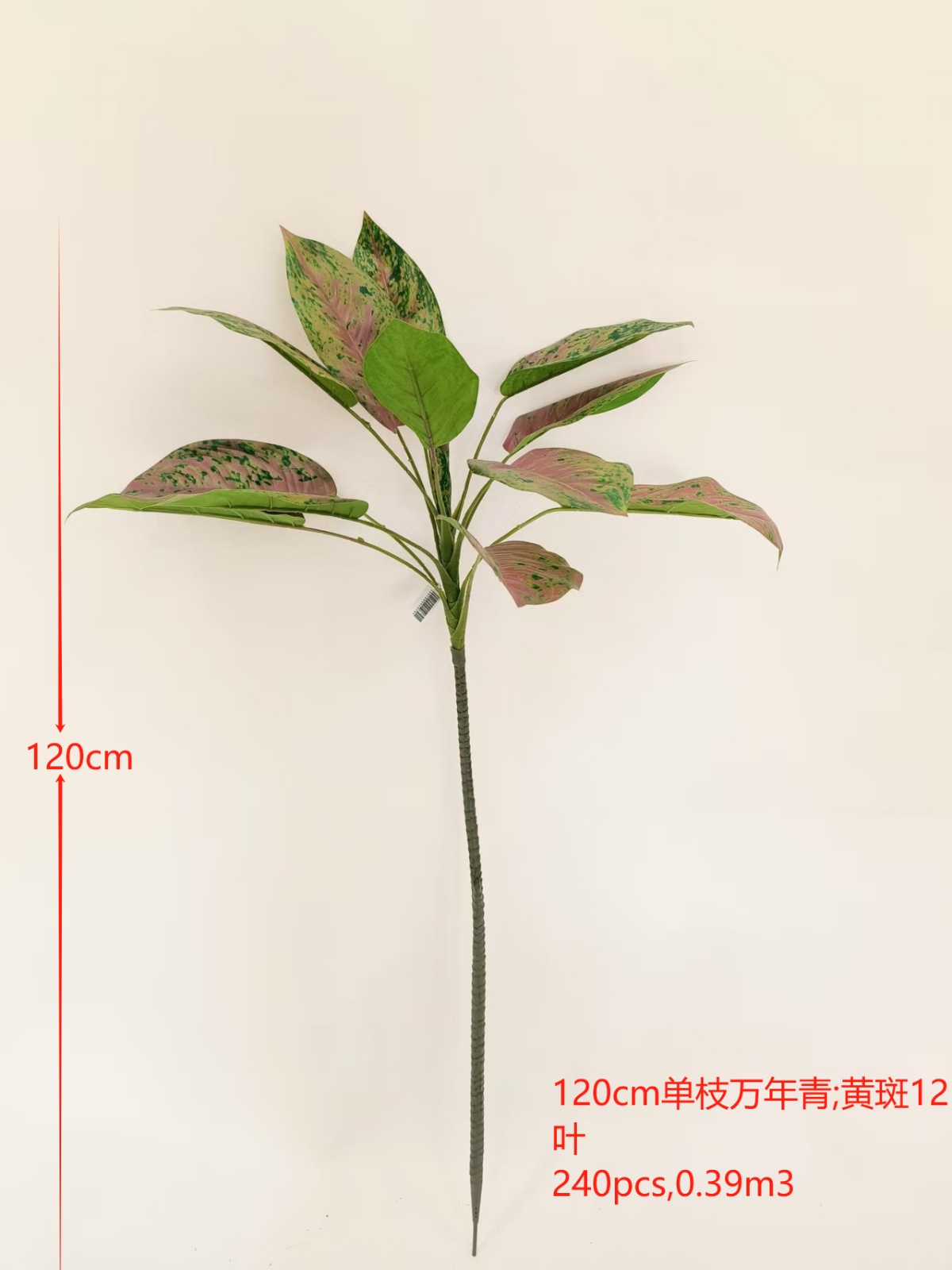 XJQH20250316-2