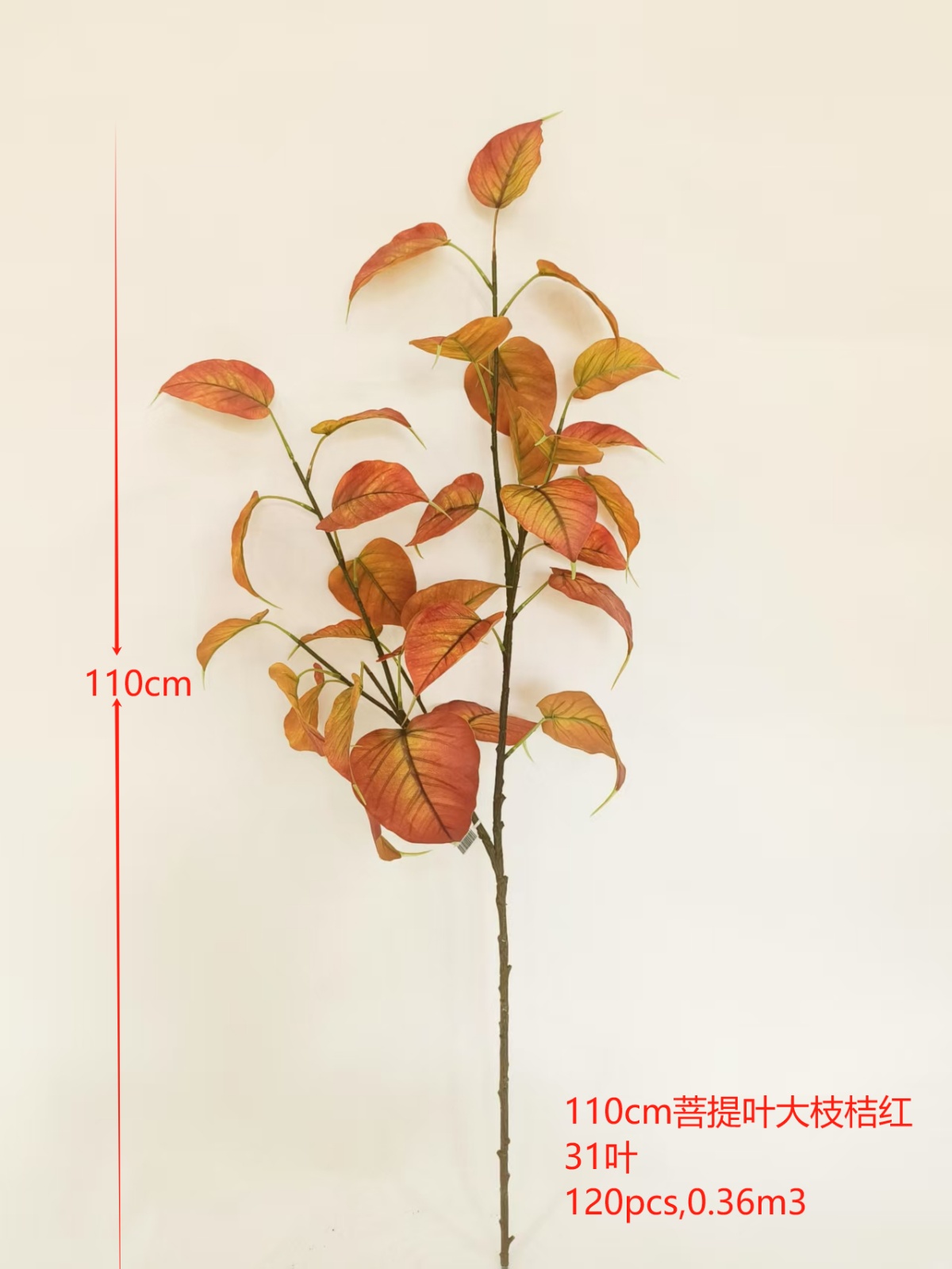 XJQH20250323-3